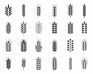 Collection of various wheat and grain stalk icons