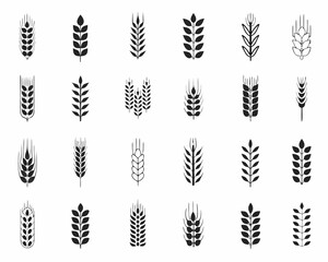 Collection of wheat and barley ear icons in black and white