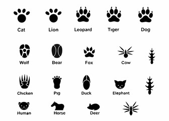 Collection of animal footprints and tracks icons