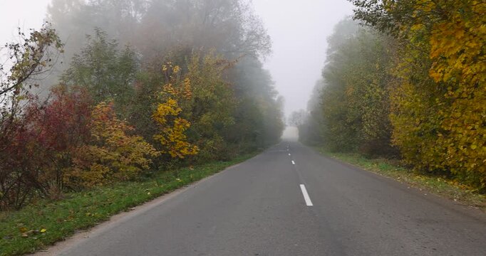 a narrow country road with yellowing trees on the edge of the road in the autumn season, cloudy weather with a gray nondescript sky, thick fog in the morning due to climate change