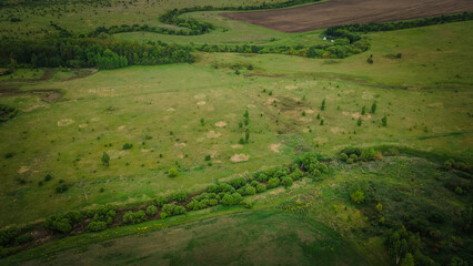 aero landscape of a green summer forest
