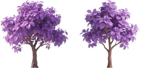 木　植物　自然　紫