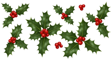 Holly berries and leaves scattered on black background for christmas holiday