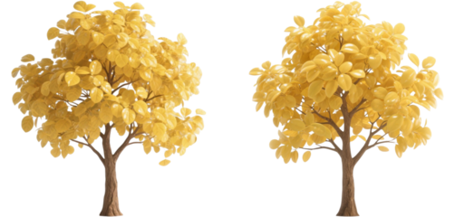 木　植物　自然　黄色
