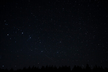 Fototapeta premium starry sky and forest at night
