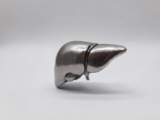 metallic human liver miniature model on white background
