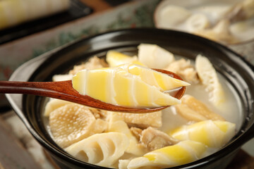 Bamboo Shoot Chicken Soup - Traditional Asian Spring Soup with Fresh Vegetables in Black Bowl