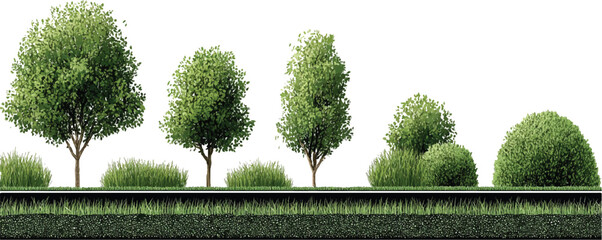 Various green trees and bushes with a detailed grass layer below shrub © appl