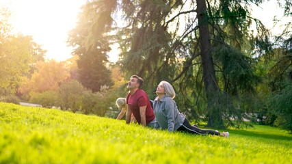 Senior couple practicing yoga together in a park