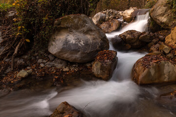 Picturesque small stream in the forest.