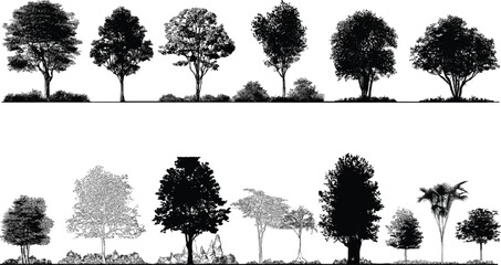 Fototapeta premium Collection of black and white line drawing trees and bushes in two rows plant