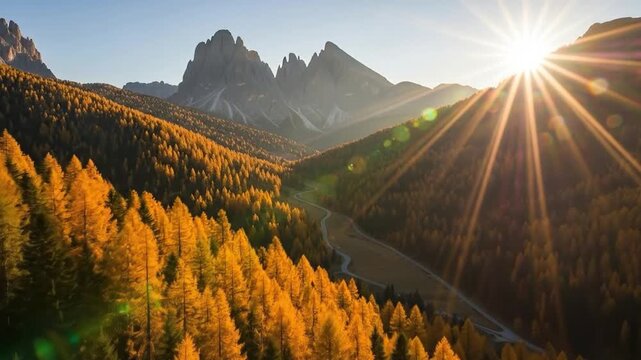 Stunning golden hour drone flight over vibrant autumn larch forests