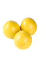 Fresh Golden Yellow Yunnan Citrus Fruits Winter Harvest with Crystal Clear Skin and Juicy Golden Nectar Details