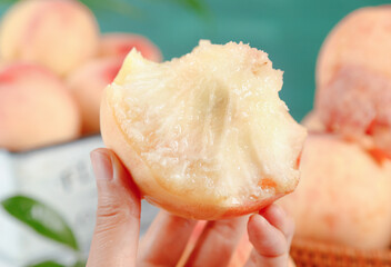 Fresh Yangshan Peach from Wuxi China - Hand Holding Juicy White Flesh Fruit