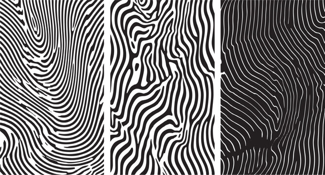 Three abstract black and white patterns fingerprint zebra wood grain texture vector