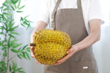 Fresh Golden Durian Fruit with Spiky Shell Held by Person in Kitchen - Thai Tropical Exotic Food