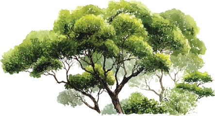 Lush green canopy of trees with textured bark and branches nature foliage