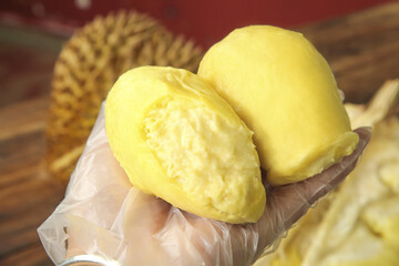 Fresh Golden Durian Fruit Flesh Segments in Hands - Thailand Tropical Fruit