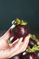 Fresh Mangosteen Fruit from Thailand Held in Hand - Tropical Exotic Asian Fruit
