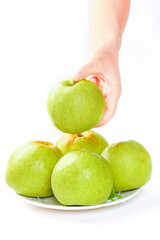 Fresh Dangshan Pears from Anhui China - Hand Picking Green Asian Pear Still Life