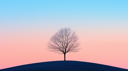 A lone tree stands on a hill against a gradient sky.