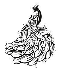 Elegant Black and White Peacock Illustration – Decorative Line Art Design. 
