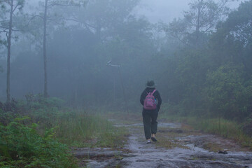 walking in the forest 