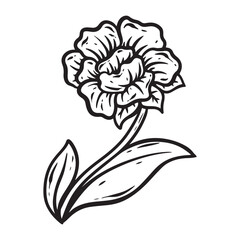 illustration art hand drawn black and white flower engraving tattoo and t-shirt design