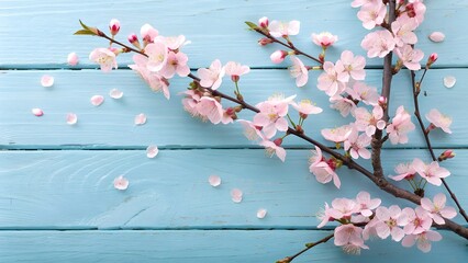 Cherry Blossoms on Pale Blue Wood for Spring
Delicate Pink Petals on a Rustic Aqua Background