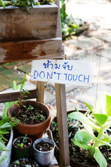 A white wooden sign written in Thai and English says Do not touch for plants in garden shop
