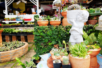 Stucco sculpture and blooming Cacti and succulents in a aluminum pot decorated in cactus plant shop