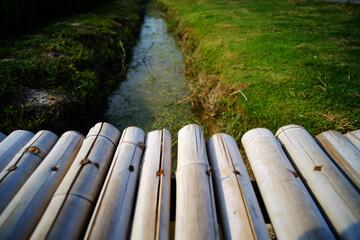 Wooden bamboo bridge across watercourse rice field
