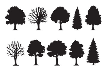 Winter tree silhouette set, bare deciduous and pine trees vector collection, leafless forest clipart, seasonal nature illustration pack