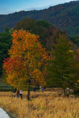 The beautiful autumn scenery of rural areas, farmland, and villages in mountainous areas of Anhui Province, China on November 16, 2025