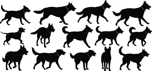 Silhouettes of thirteen dogs in side-profile poses, black and white illustration, canine posture study, breed diversity and pet design theme