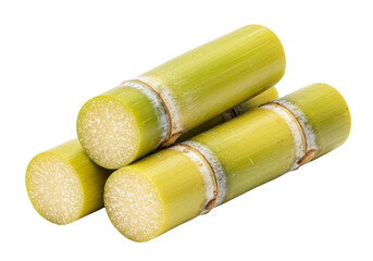 ultra-detailed macro close-up of three freshly harvested sugarcane segments with chartreuse green skin and waxy bloom, showing fibrous nodes, isolated on white, concept of natural resource vitality