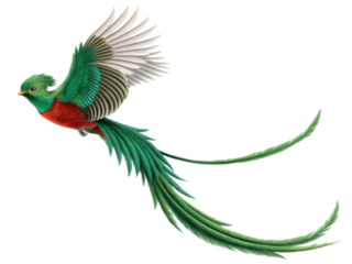 Graceful majestic green quetzal bird illustration flying in freedom. beautiful tropical wildlife animal with long tail feather isolated