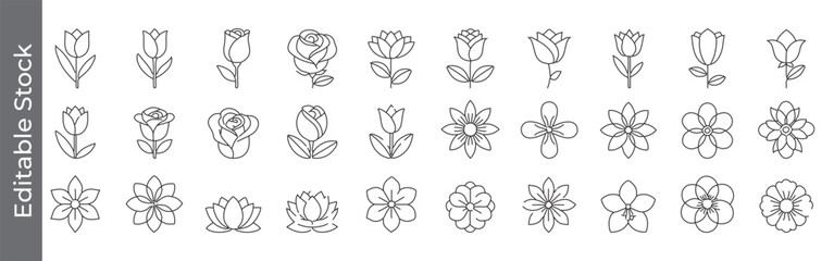 Flower and blossom line icon set – editable outline symbols of tulip, rose, lotus, daisy and floral design