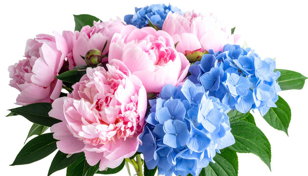 A vibrant bouquet of pink peonies and blue hydrangeas with green foliage - Powered by Adobe