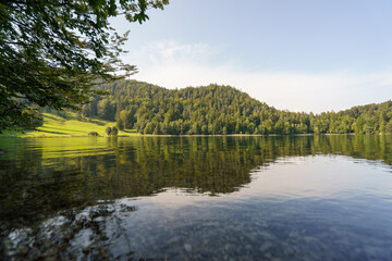 Still waters of Alpsee reflecting trees and sky, Bavaria, Germany on a peaceful day during summer