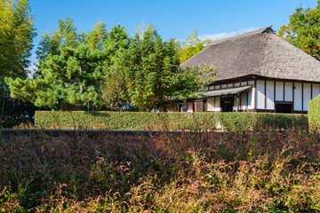 茅葺屋根と紅葉