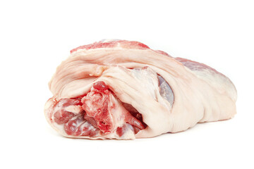 Raw Pork Elbow Cut - Fresh Meat on White Background