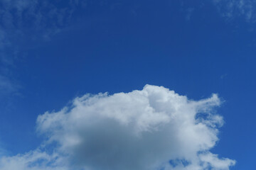 Fototapeta premium Beautiful sky view nature background with soft clouds and green trees in natural light outdoor landscape