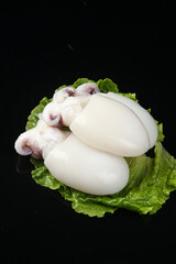 Fresh Baby Cuttlefish Skinless on Lettuce - Delicious Seafood