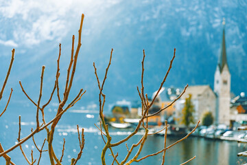 Bare winter branches frame the blurred scene of Hallstatt village, its church steeple, and the snow-dusted Alpine mountains rising dramatically across the dark lake.