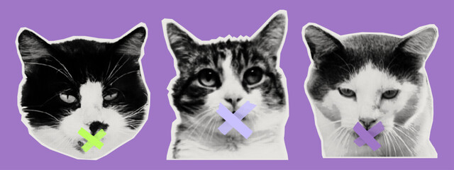 Silence, speech censorship, modern halftone collage. A cat's mouth is sealed with duct tape, prohibiting speech, conversation, silence, make a sound. A paper cutout of a pet, an animal. Vector.