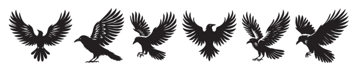Fototapeta premium crow bird black soild silhouette bundle isolated on white 