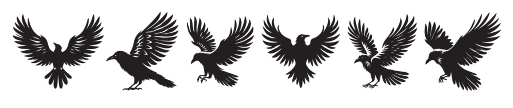 crow bird black soild silhouette bundle isolated on white 