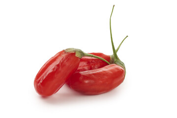 Fresh Red Goji Berries Wolfberry from Ningxia on White Background