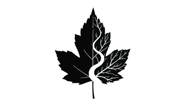 Stylized black leaf with a white vine or stem growing through it against a white background.